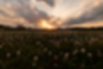 B0B265DE-36FE-4B44-9347-9ACDECFEE82A.jpeg