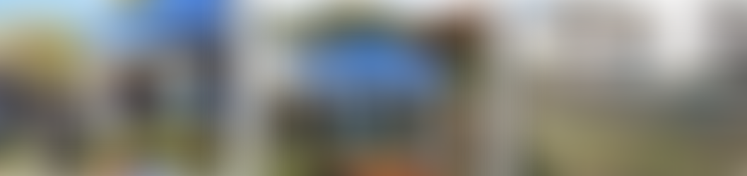 交通少年団・さと芋収穫体験