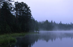 Лето_Кутинов Максим_89036696250_29