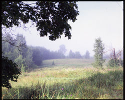 Далекая избушка