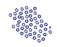 Untitled design (18).png