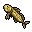 Sandfish tibia