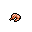 Shrimp tibia