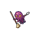 Octoputz tibia