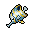 Small Tropical Fish tibia