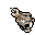 Skull Candle tibia