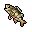 Small Bass tibia