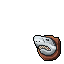 White Shark Trophy tibia