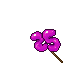 Pink 25 Years Balloon tibia