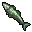 Northern Pike tibia