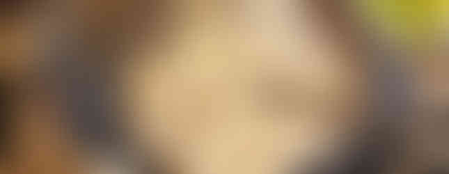 Crab meat with seasoning and mayo in a stainless steel bowl