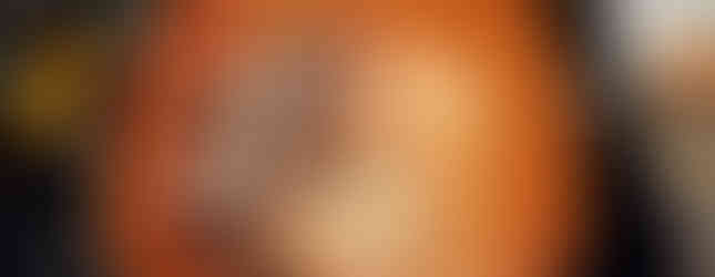 Mushrooms and garlic frying in butter