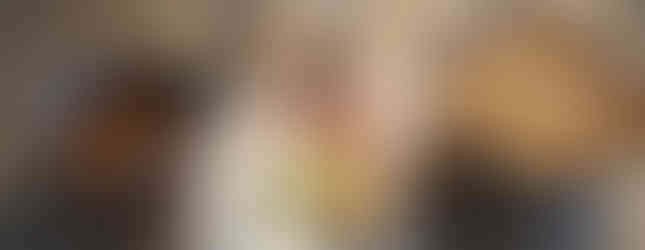 All the ingredients to make the beans