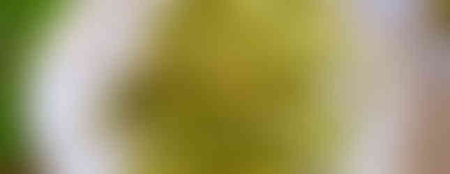 Peeled asparagus stems on a white plate