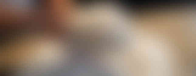 Mom's Homemade Bread, second knead, dough ball