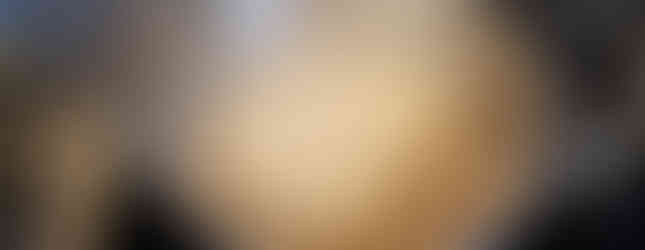 Beans in a pot with boiling water