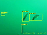 F11(2629)_krill.jpg