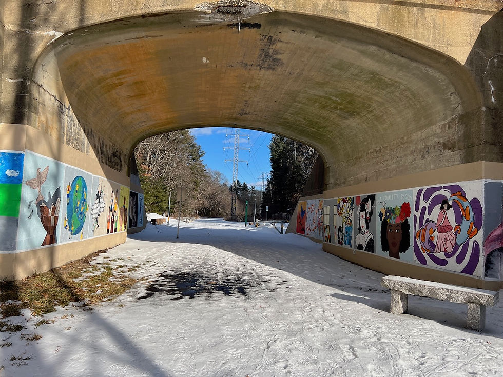 Murals on the sides of the Concord Road bridge over the rail trail.
