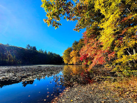 College Pond on a sunny fall day with glassy water, fall foliage overhanging the water and reflecting in it.