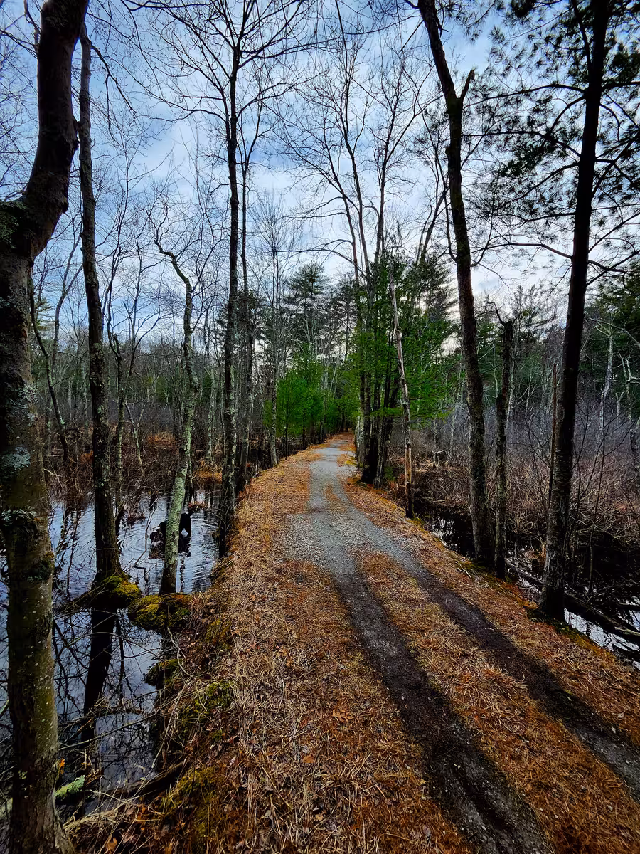 Causeway road curving between two areas of wetland on a cloudy day.