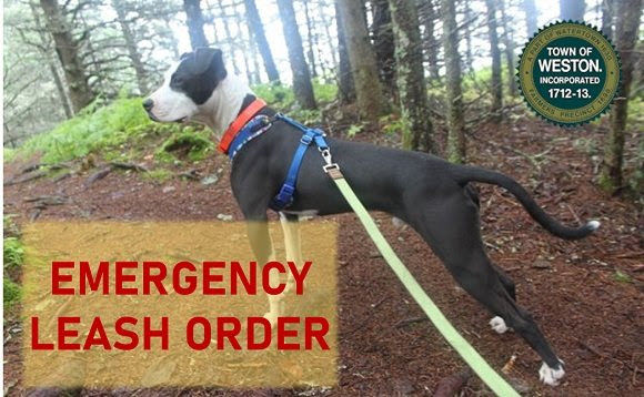 Emergency Leash Order