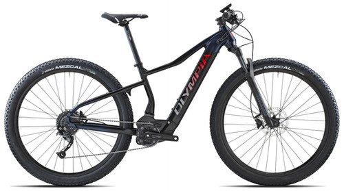 OLYMPIA PERFORMER 900 SPECIAL EDITION | Cicli Rossi Roma