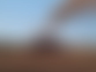 Estonia’s Most Powerful Peat Production Facility Opens Near Pärnu