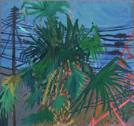 Power Lines and Palm Trees at Lalo’s Old Spot
