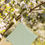 Thumbnail: WS - Wet Bag - Celery
