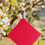 Thumbnail: Wet Bag - Watermelon