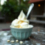 Vanilla Ice Cream