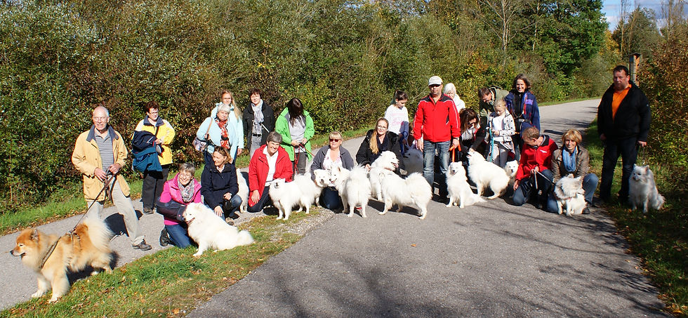 Wurftreffen Oktober 2017