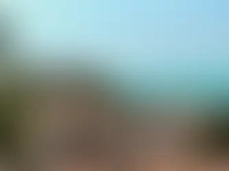 Coastal Roofing Challenges in the Bay Area: How to Protect Your Home from Salt, Storms & Costly Damage