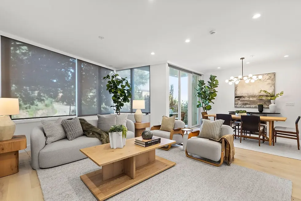Open concept living and dining room with natural light, modern furniture, and indoor plants.