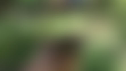 Quando o Fim nos Surpreende com um Novo Começo