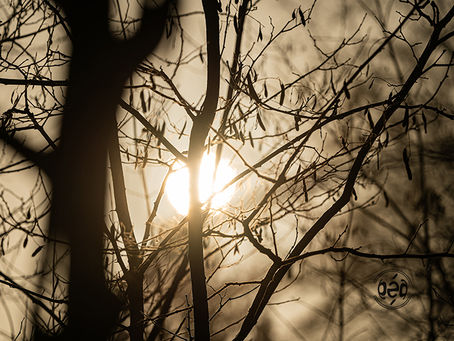 Quand le réveil sonne,