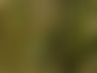 retour pour quelques heures,