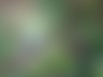 Sortira ? sortira pas ?