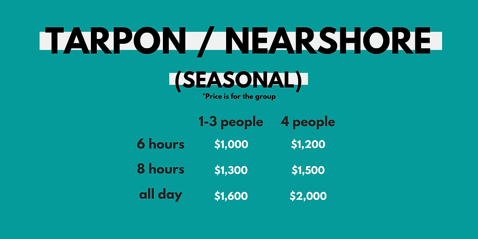 Tylers Website Pricing (2).png