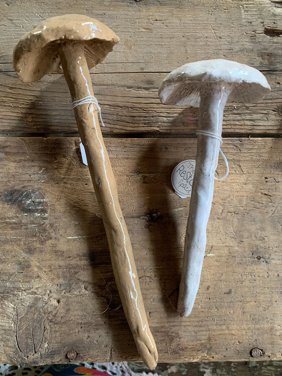Thumbnail: Ceramic Mushrooms