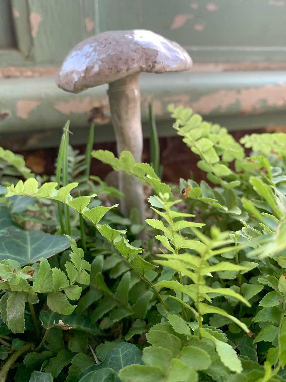 Thumbnail: Ceramic Mushrooms