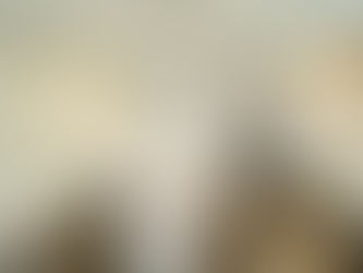 Single Family House, Mount Vernon NY