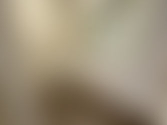 Yonkers 1 Bedroom $2000