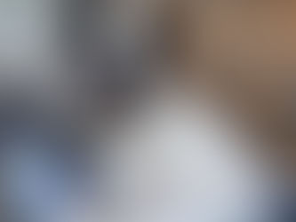 Meet Louie - Pets of St Turramurra