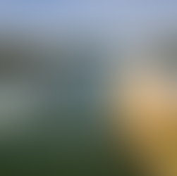 Kayaking Spots Along Lane Cove River