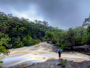 Robyn Connacher, St Ives Snapper