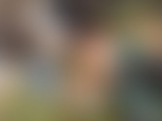 Ku-Ring-Gai Wildflower Garden