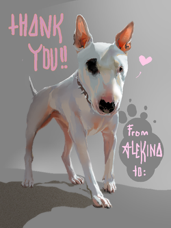 Thank You Card