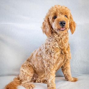 unnamed (1)_edited.jpg