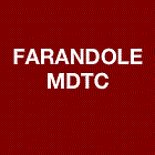 Farandole.gif